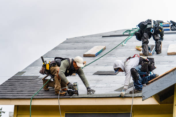 Professional Emergency Roof Repair technician working in Arcadia, MI